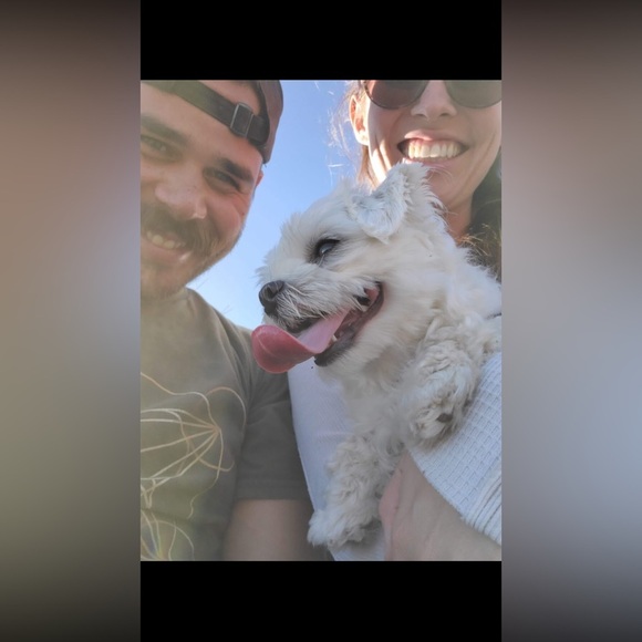 🐶 Flotation Vest XS - Picture 6 of 10